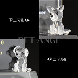 アニマル