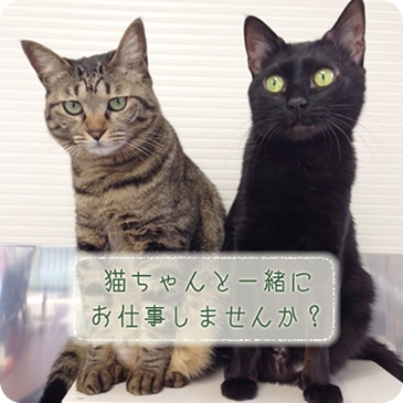 仕事の内容